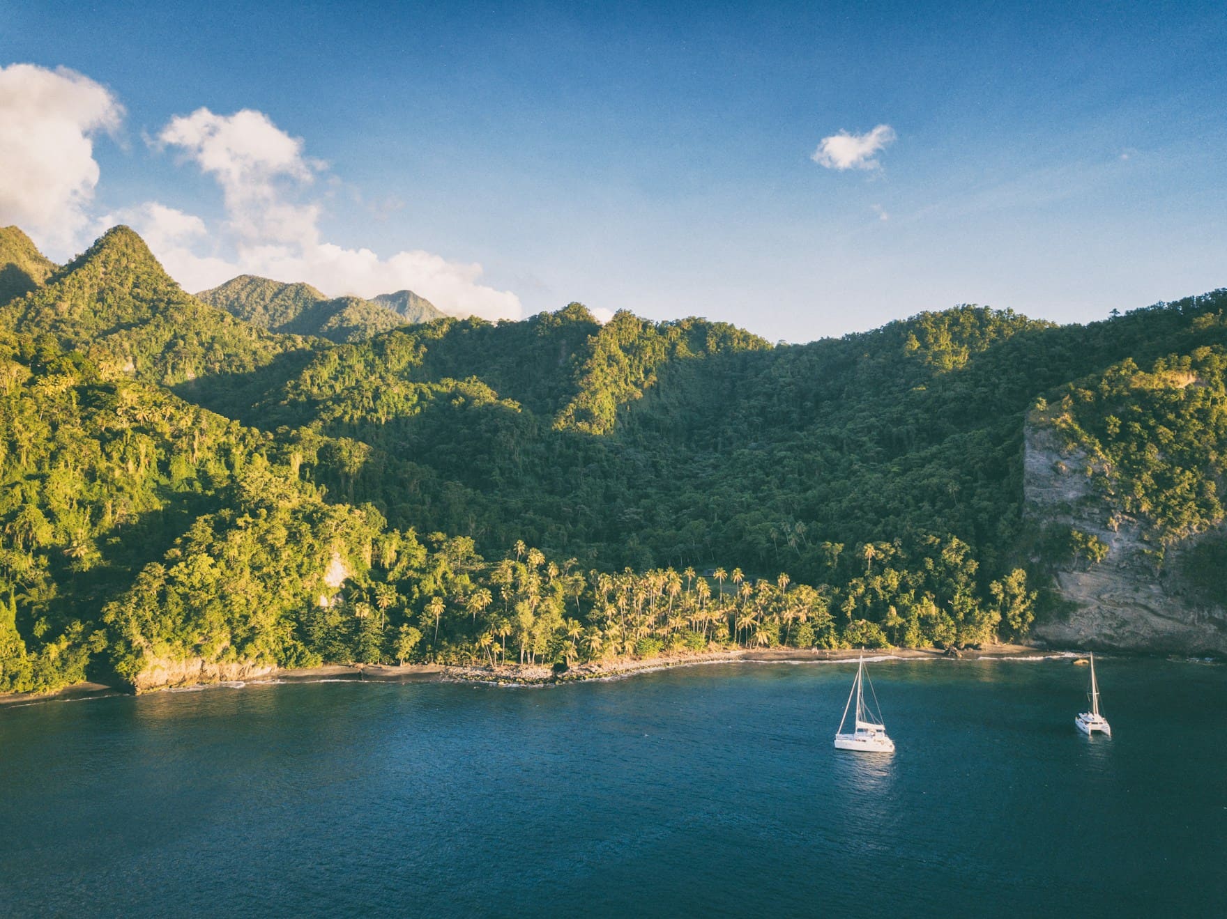 Lorem ipsum dolor sit amet consectetur. Velit sed amet quam.